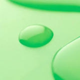card - The BEANS (Development Store)